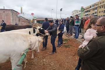 Los Llanos celebra el día grande de sus fiestas (Foto TA)